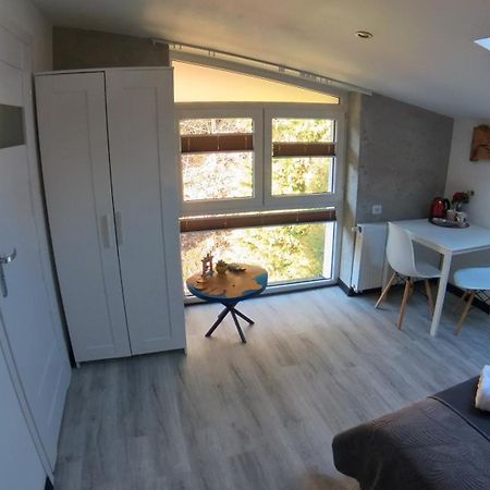Beskidzka Guest House 什切尔克 外观 照片